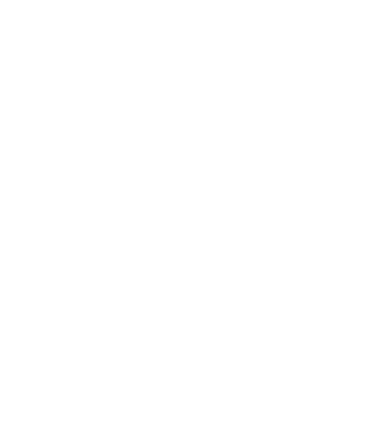 T-Shirt 'The Prof'